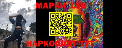 гидропоника Дубна