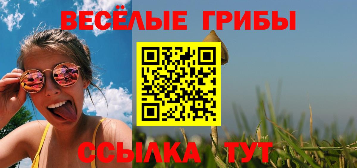 купить наркоту  Псилоцибиновые грибы мухоморы  Вход с VPN  Минеральные Воды 